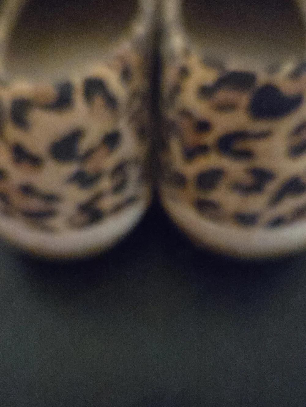 Clarks Women's Leopard Espadrilles in Tan and Black